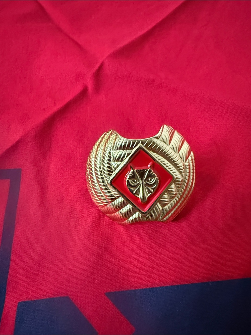 Cub Scouts Red & Navy Cub Scout Hat with Red Neckerchief and Pin - Picture 5 of 5